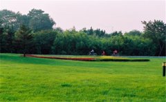 網(wǎng)絡(luò)化空氣監(jiān)測站監(jiān)測哪些參數(shù)？